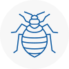Bed Bug Extermination In Gatwick