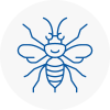 Gatwick Hornet Nest Removals