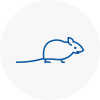 Mice Exterminators In Gatwick