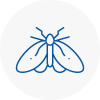 Moth Control Specialists In Gatwick