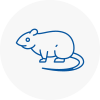 Rat Control Gatwick