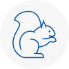 Gatwick Rodent Removals