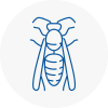 Gatwick Wasp Nest Removal